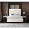 Beige Velvet Queen Bed with Tufting