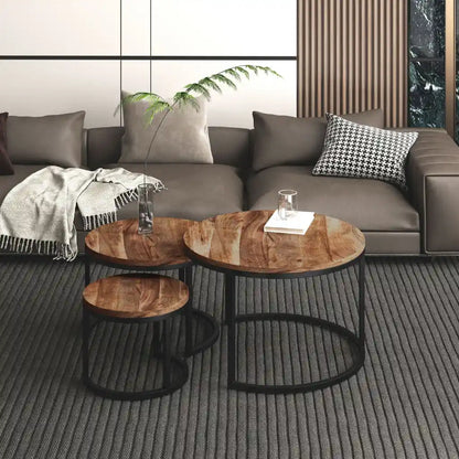 Darsh 3pc Nesting Coffee Table Set With Rustic Mango Wood Tops