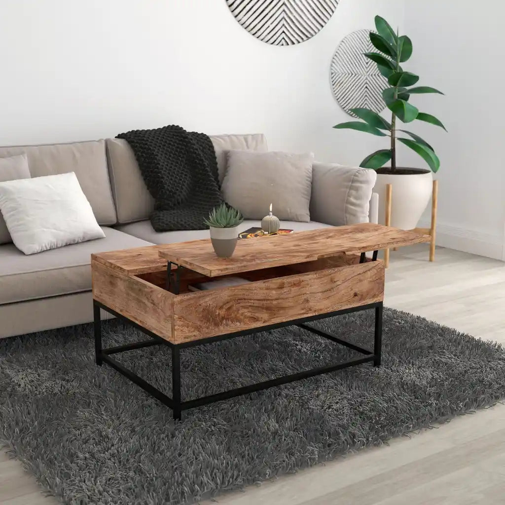 Ojas Lift Top Coffee Table with Hidden Storage