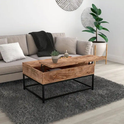 Ojas Lift Top Coffee Table with Hidden Storage