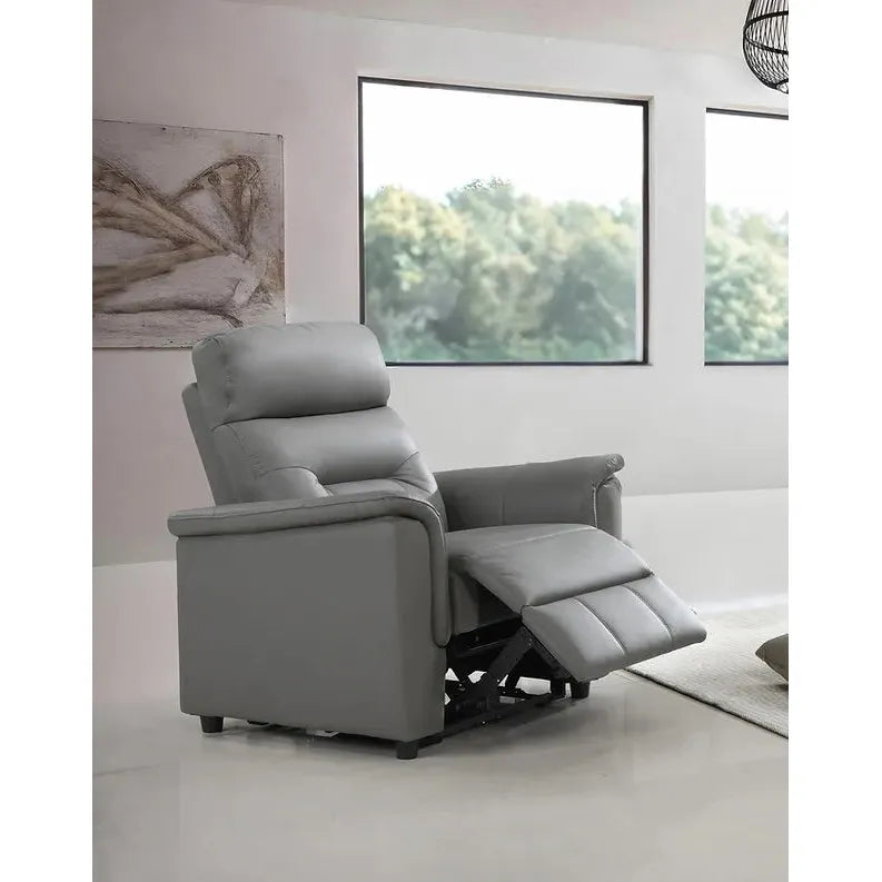 Gray recliner chair 